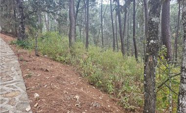 Bonita cabaña en zona  de bosque de mazamitla jalisco