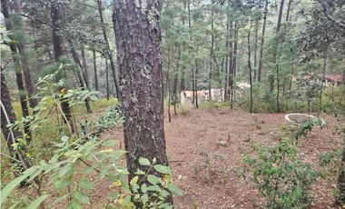 Bonita cabaña en zona  de bosque de mazamitla jalisco