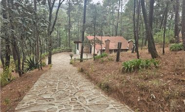 Bonita cabaña en zona  de bosque de mazamitla jalisco