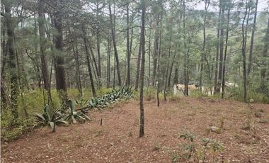 Bonita cabaña en zona  de bosque de mazamitla jalisco