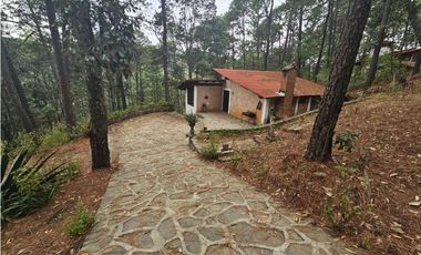 Bonita cabaña en zona  de bosque de mazamitla jalisco