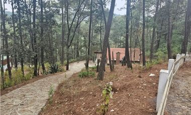 Bonita cabaña en zona  de bosque de mazamitla jalisco