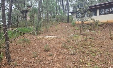 Bonita cabaña en zona  de bosque de mazamitla jalisco