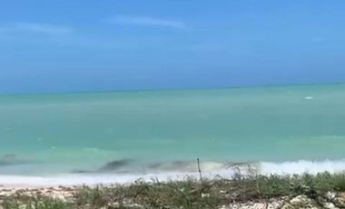 Terreno en venta en Celestún, Yuc. frente al mar cerca del centro.