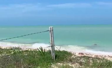 Terreno en venta en Celestún, Yuc. frente al mar cerca del centro.