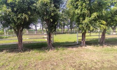 Casa/Granja de 50,216 m2 en Venta Ubicada en San Sebastian, Tlajomulco, Jalisco