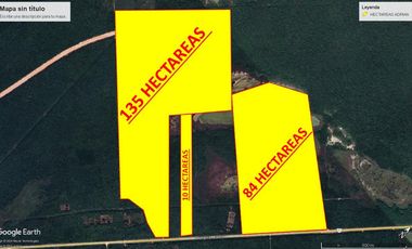 Venta Terreno de 10 ha en Bacalar, Q. Roo
