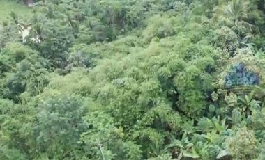 Jual Tanah Industri di Jl raya kadu agung, Cikulur, Lebak, Banten