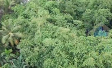 Jual Tanah Industri di Jl raya kadu agung, Cikulur, Lebak, Banten