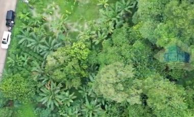 Jual Tanah Industri di Jl raya kadu agung, Cikulur, Lebak, Banten