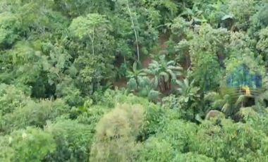 Jual Tanah Industri di Jl raya kadu agung, Cikulur, Lebak, Banten