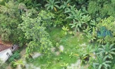 Jual Tanah Industri di Jl raya kadu agung, Cikulur, Lebak, Banten