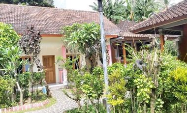 HOTEL STYLE BALI BANGUNAN LAMA JLN RAYA SINGARAJA DKT LOVINA