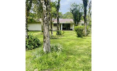 🌿 The Noble Refuge  / El Reugio Noble