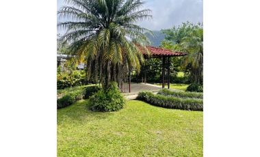 🌿 The Noble Refuge  / El Reugio Noble