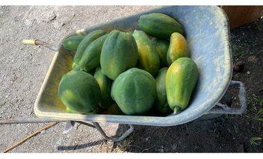 ALQUILER DE FINCA EN CAIZAN RODEADO DE NATURALEZA