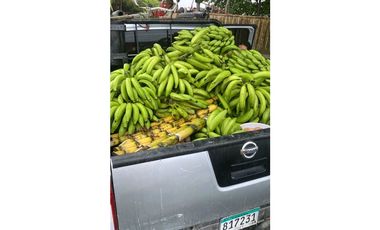 ALQUILER DE FINCA EN CAIZAN RODEADO DE NATURALEZA