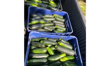 ALQUILER DE FINCA EN CAIZAN RODEADO DE NATURALEZA