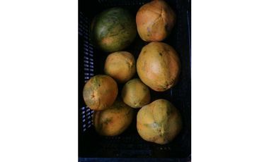 ALQUILER DE FINCA EN CAIZAN RODEADO DE NATURALEZA