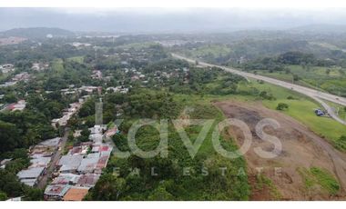 TERRENO SOBRE VIA PRINCIPAL - UNICO! RANA DE ORO 2 HECTAREAS