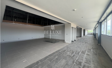 VENTA DE GALERA PARA PRODUCCION Y/O DISTRIBUCION EN TOCUMEN (R)