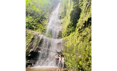 VENTA DE FINCA EN CAIZAN   8 HECTAREAS