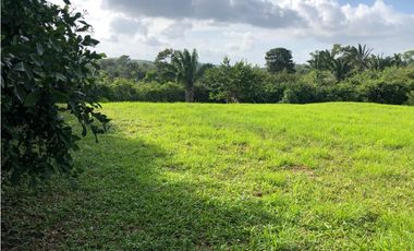 VENTA TERRENO PANAMA OESTE