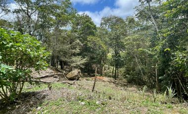 VENTA TERRENO ALTOS DE MARIA