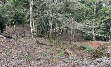 VENTA TERRENO ALTOS DE MARIA