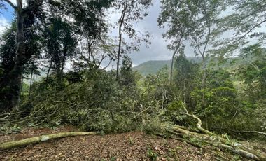 VENTA TERRENO ALTOS DE MARIA