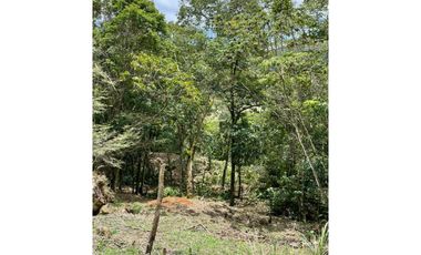 VENTA TERRENO ALTOS DE MARIA