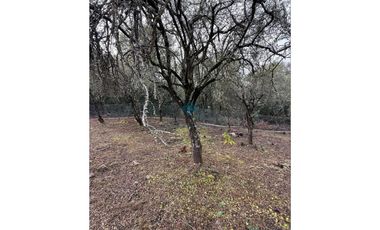 LOTE 560 M2 - VILLA ANIMI - LA GRANJA