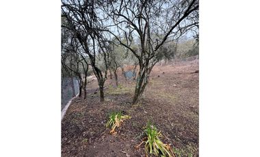 LOTE 560 M2 - VILLA ANIMI - LA GRANJA