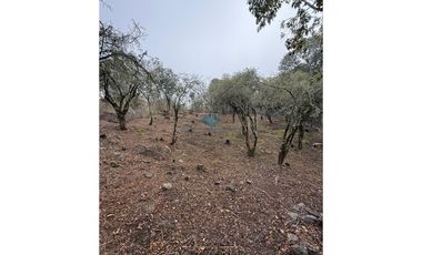 LOTE 560 M2 - VILLA ANIMI - LA GRANJA