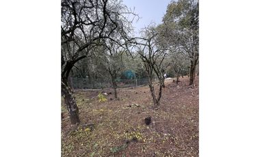 LOTE 560 M2 - VILLA ANIMI - LA GRANJA