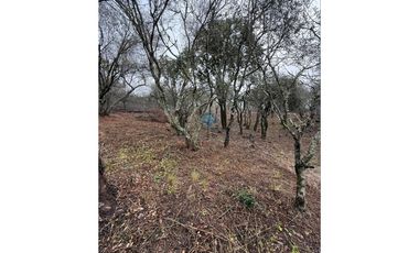 LOTE 560 M2 - VILLA ANIMI - LA GRANJA