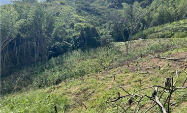 FINCA PRODUCTIVA EN GUADUAS