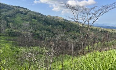 FINCA PRODUCTIVA EN GUADUAS