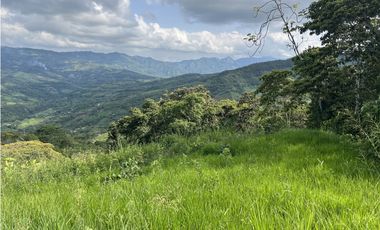 FINCA PRODUCTIVA EN GUADUAS