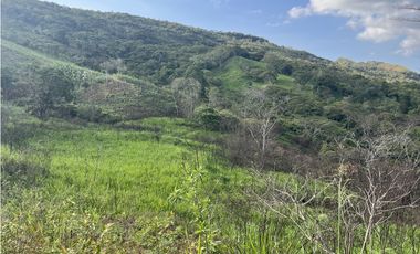 FINCA PRODUCTIVA EN GUADUAS
