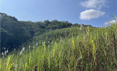 FINCA PRODUCTIVA EN GUADUAS