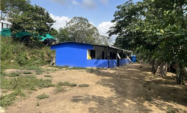 FINCA PRODUCTIVA EN GUADUAS