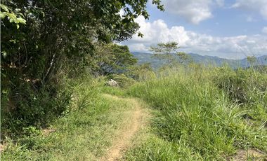FINCA PRODUCTIVA EN GUADUAS
