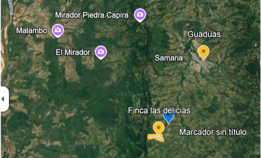 FINCA PRODUCTIVA EN GUADUAS