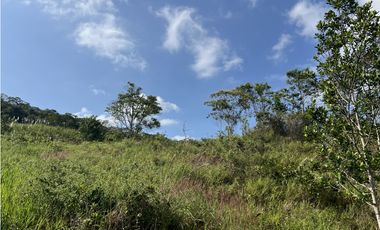 FINCA PRODUCTIVA EN GUADUAS