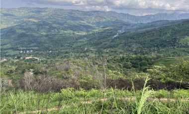 FINCA PRODUCTIVA EN GUADUAS