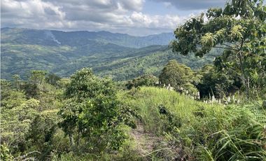 FINCA PRODUCTIVA EN GUADUAS