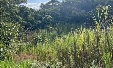 FINCA PRODUCTIVA EN GUADUAS