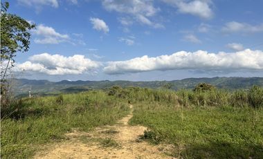 FINCA PRODUCTIVA EN GUADUAS
