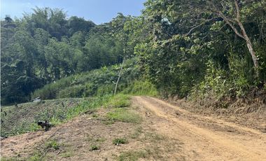 FINCA PRODUCTIVA EN GUADUAS
